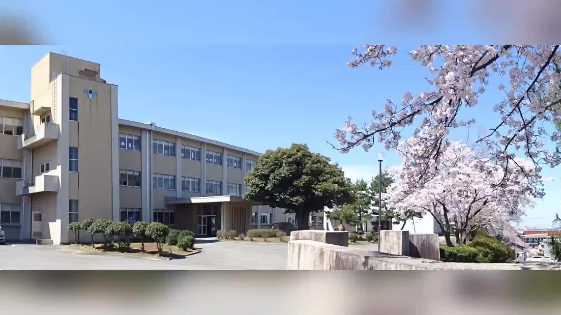 31642a436548dde536e37602a9d8a6a7