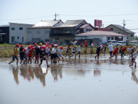 DSCF3523