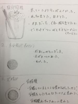 緻密なスケッチ！