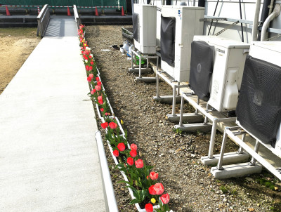 IMG_20260417_080009096_HDR