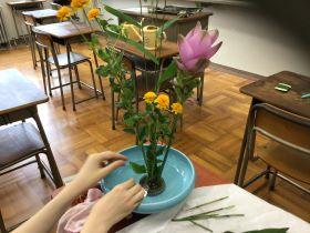 華やかなピンクの花