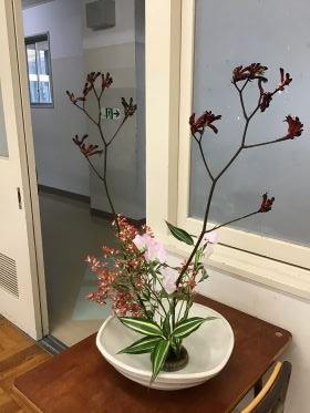 秋の花