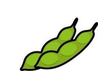 せいかいは・・・