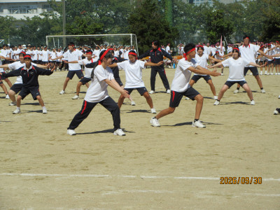 IMG_0491[1]