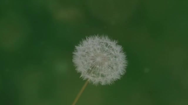 32143d13bf396d21e5ae5cae32719a72