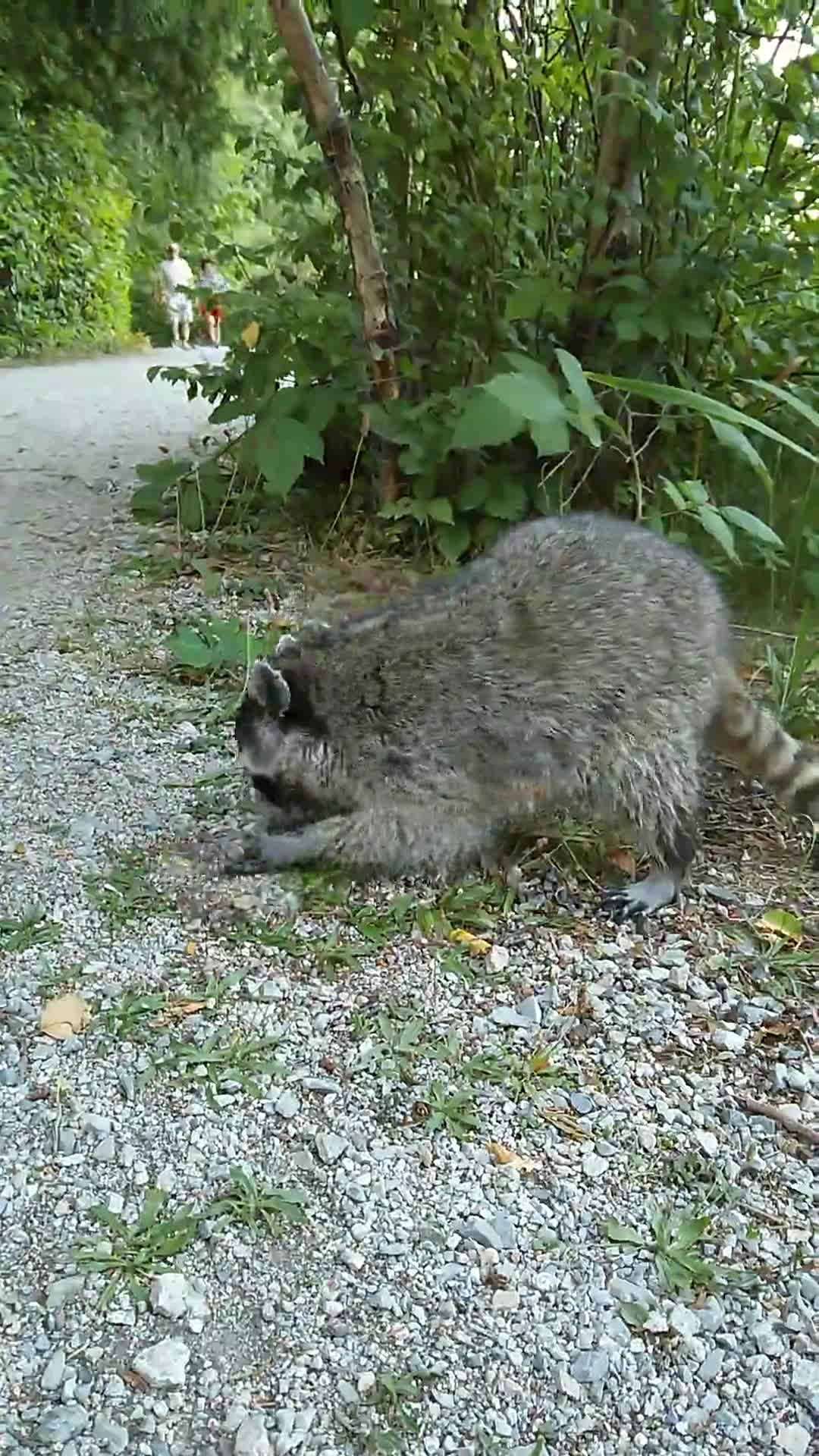 900f54d28eece04320db9d4314e6a9e8