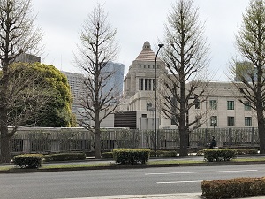 道路をはさんで国会議事堂が