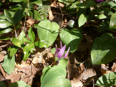P1020634