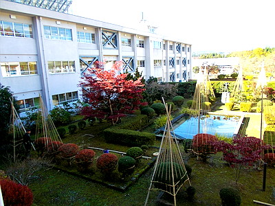 午前中の中庭の様子