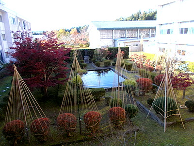 午後の庭の様子