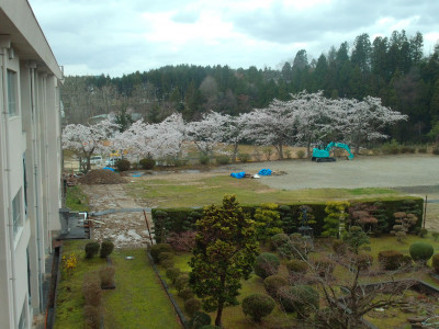 DSCF0001