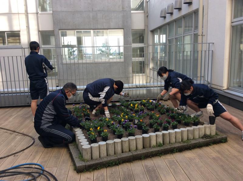 校長先生も一緒に植えました。