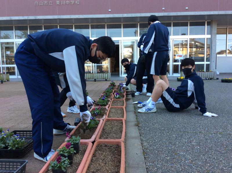 玄関のパンジーとてもきれいだよ。