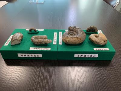 本校に寄贈していただいた化石標本