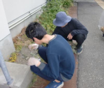 安多