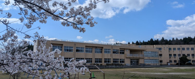 PXL_20260407_234505529 (1)