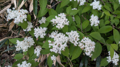 PXL_20260510_212639499