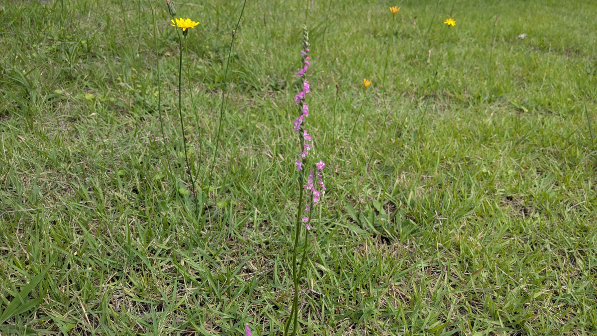 PXL_20260707_001159192