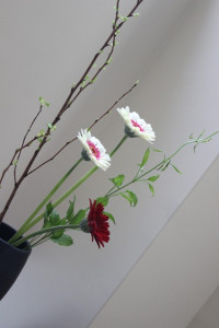 画像14