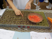 DSCN6142
