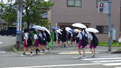 IMGP2499