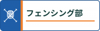 17_fencing