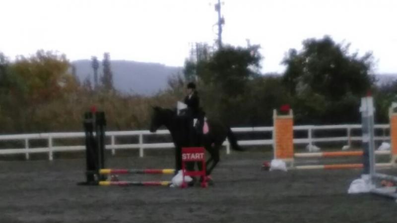 障害飛越競技５０