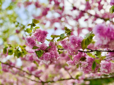 2026年4月19日（12_35）