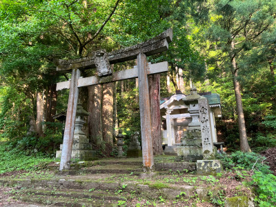 2026年5月16日（17_51）(15)