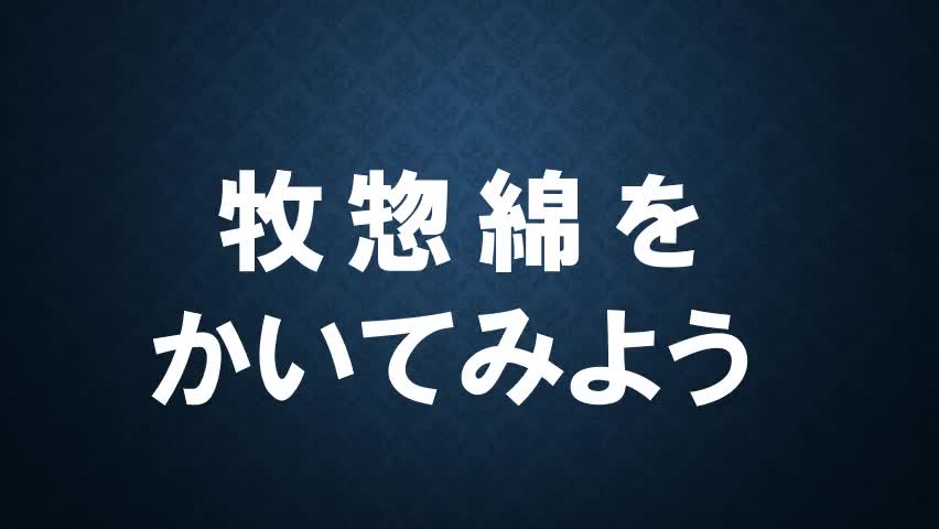 5e8efd053c6e506fd35a8a2752020f90