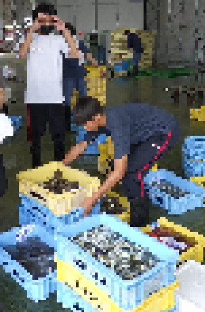 R0011267