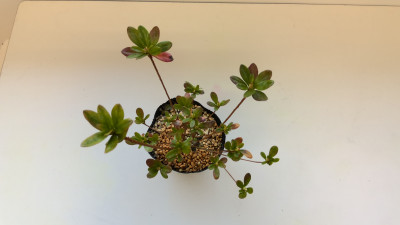 WIN_20260403_18_03_04_Pro