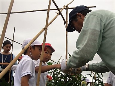 教えてもらってる