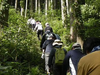 DSCN0431