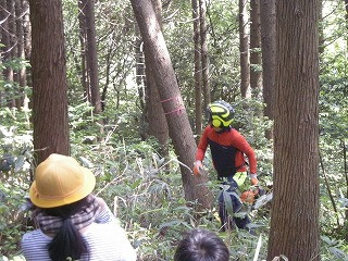 DSCN0462