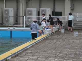 DSCN0539