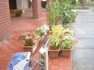DSCN0200