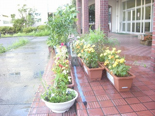 DSCN0203