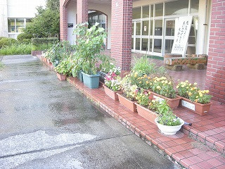 DSCN0202