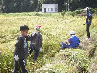DSCN0219