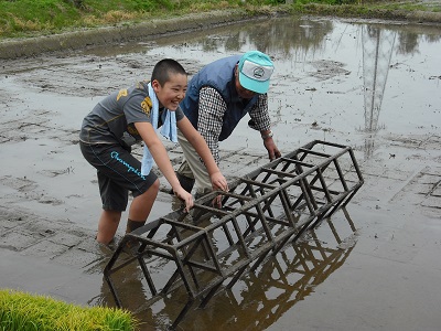 田植え2