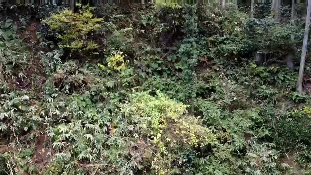 69f4e55313094681db934f7c5d3ee85c