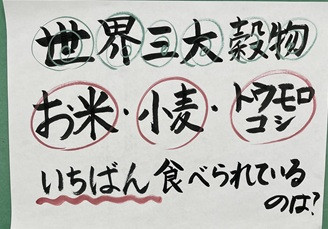 IMG_3530問題
