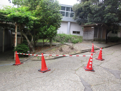 蜂駆除