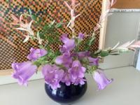 正面玄関のツリガネソウ