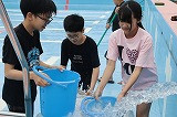 IMG_4866
