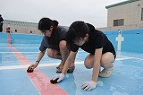 IMG_4951