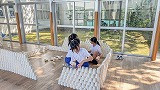 PXL_20260629_052817615