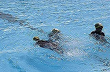 IMG_5924