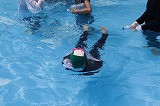 IMG_5939
